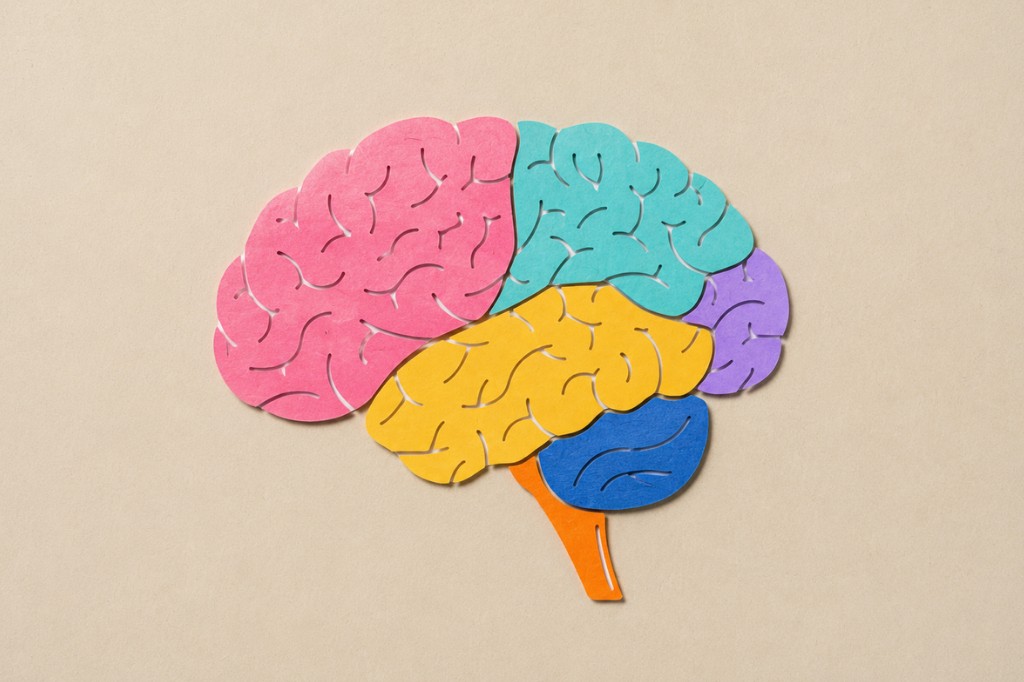 Paper-cut illustration of a human brain