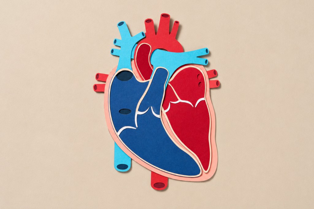 Paper-cut illustration of a human heart